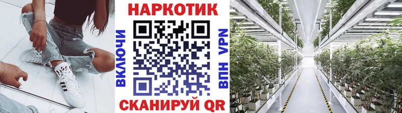 Где купить наркотики Судак ГАШ  Конопля  Cocaine  Alpha PVP  Мефедрон 