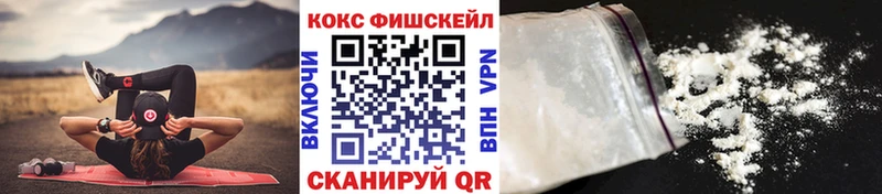 Cocaine FishScale  цена наркотик  Судак 