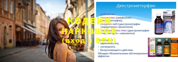 метадон Богданович