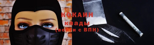 метадон Богданович