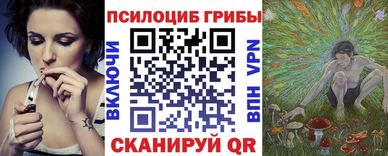 где можно купить наркотик  Судак  kraken зеркало  Галлюциногенные грибы Psilocybe 